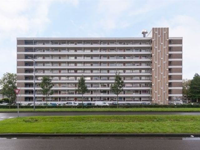 Oldegaarde ONG, Rotterdam