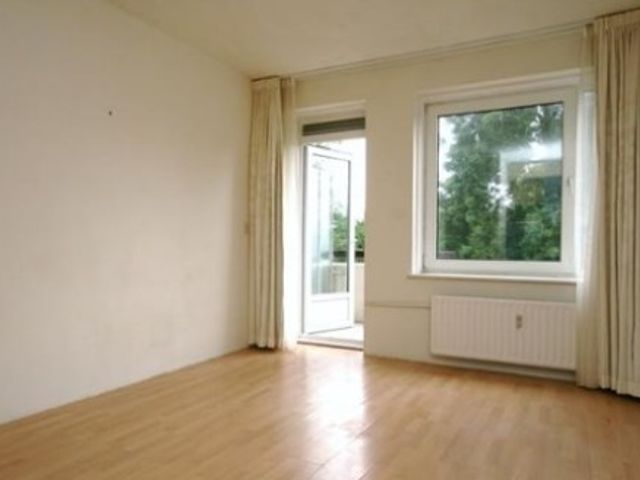 Den Uylsingel ONG, Rotterdam