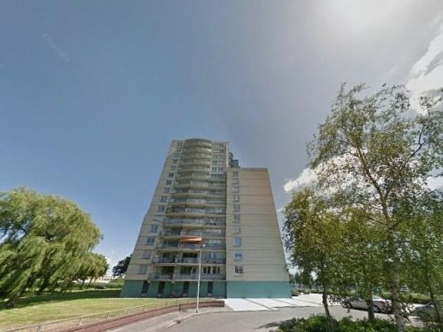 Den Uylsingel ONG, Rotterdam