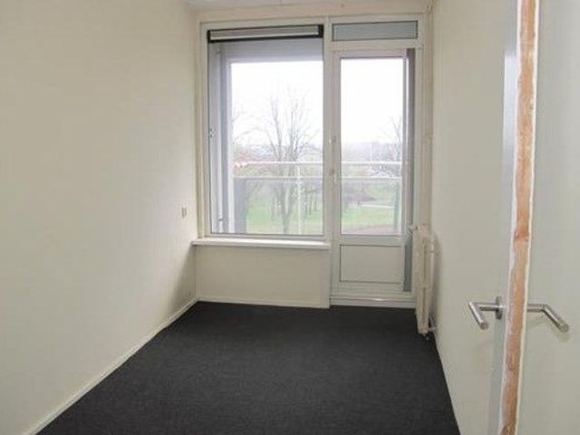 Burgemeester Hazenberglaan ONG, Rotterdam