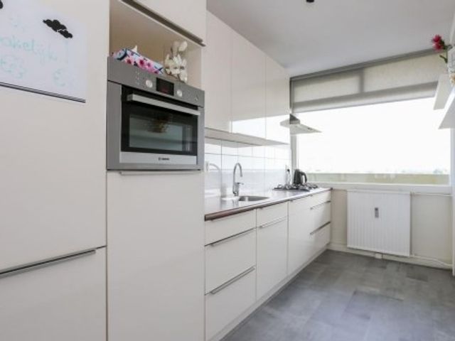 Europalaan ONG, Tilburg