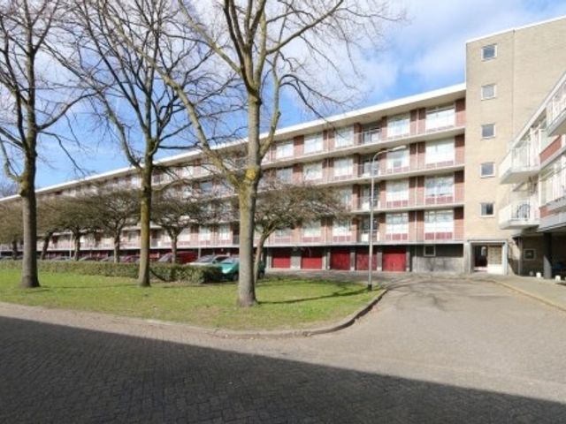 Predikherenlaan ONG, Tilburg