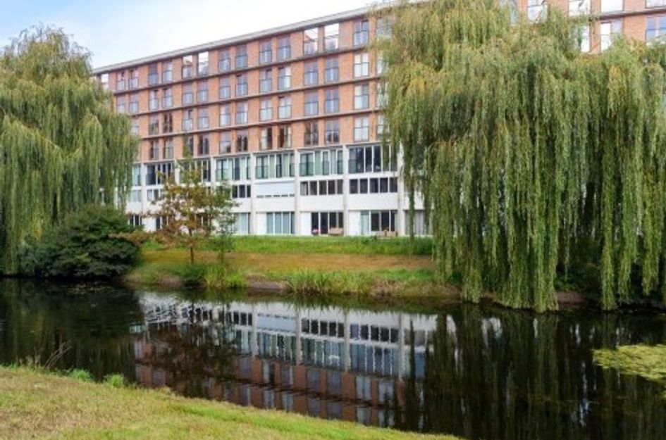 Prinses Ireneplateau ONG