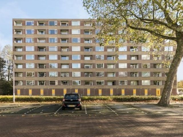 Fluitekruidweg ONG, Zaandam