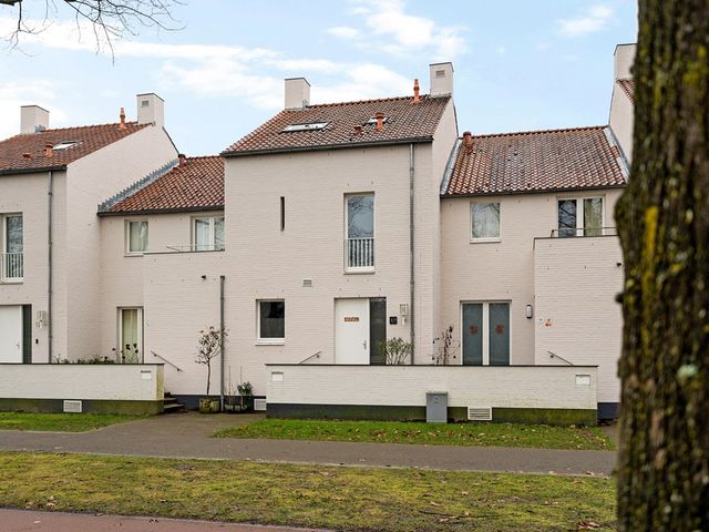 Bosfazant 17, Eindhoven