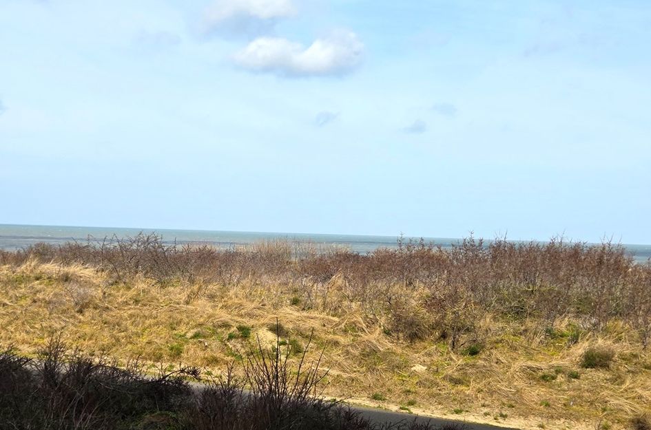 Boulevard de Wielingen 47C202