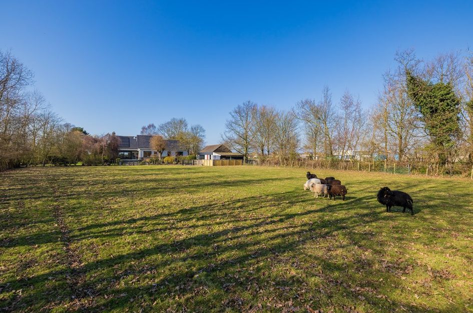 Maandagsewetering 196