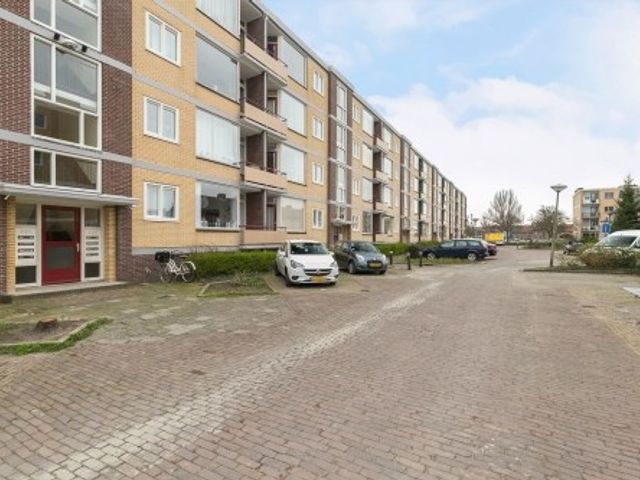 Fazantstraat , Alphen aan den Rijn
