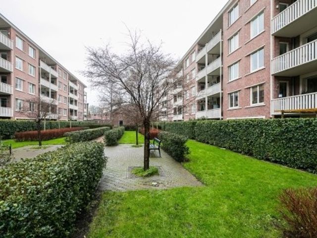 Jan van Schaffelaarplantsoen , Amsterdam