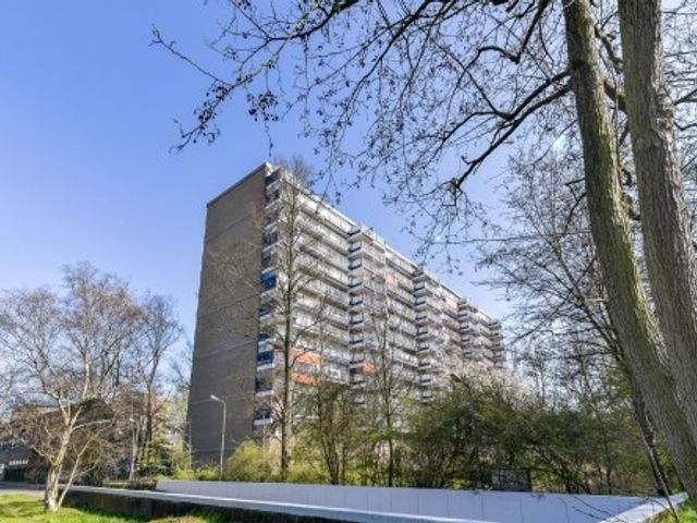 Adama van Scheltemaplein , Delft