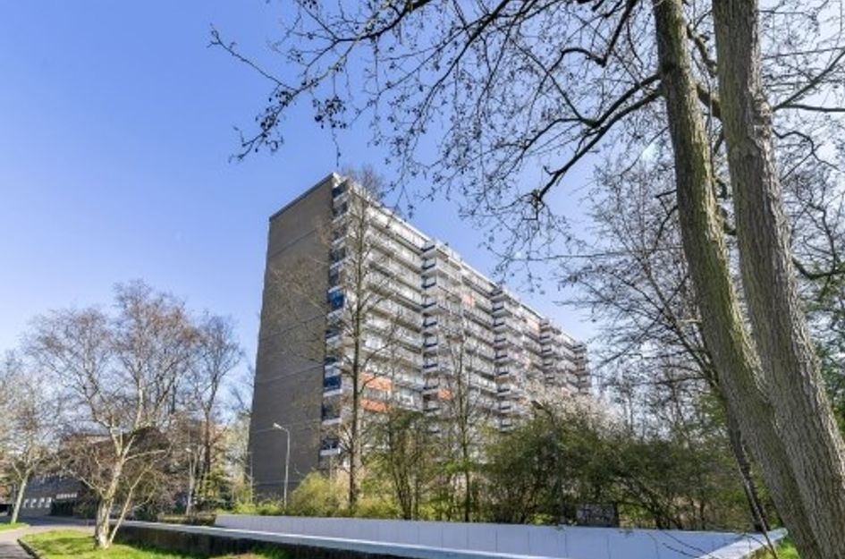 Adama van Scheltemaplein 