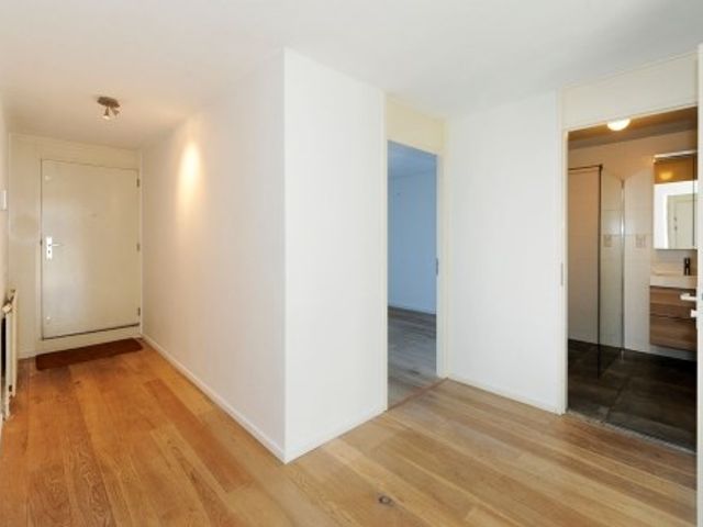 Zwolsestraat , 's-Gravenhage