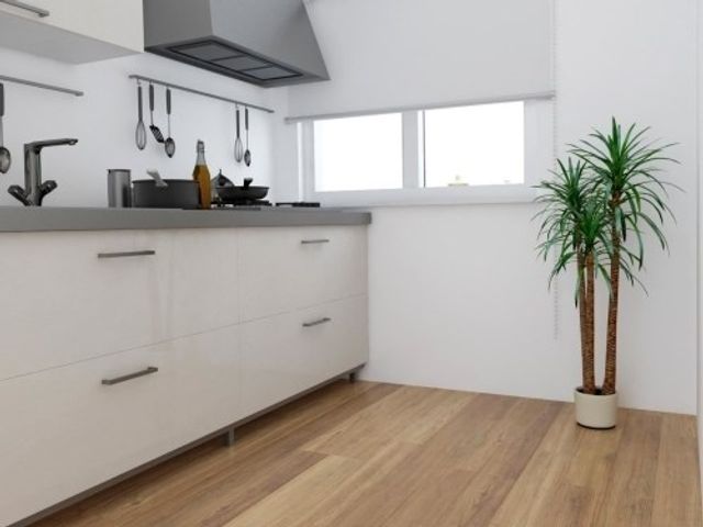 Aalscholverstraat , Dordrecht