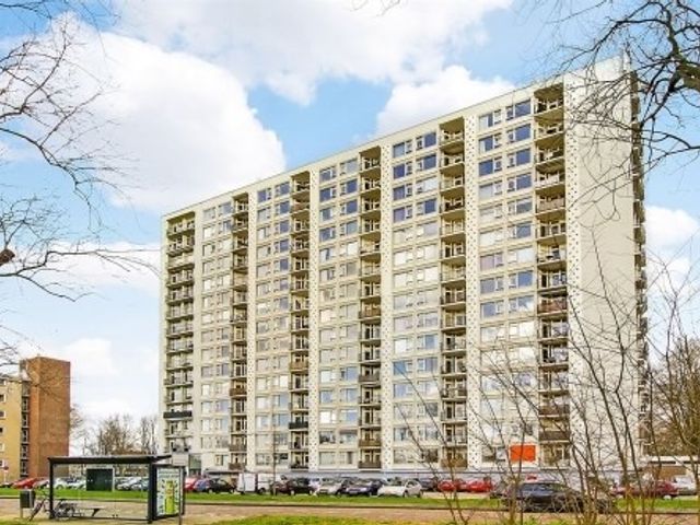 Van Leeuwenhoekstraat , Haarlem