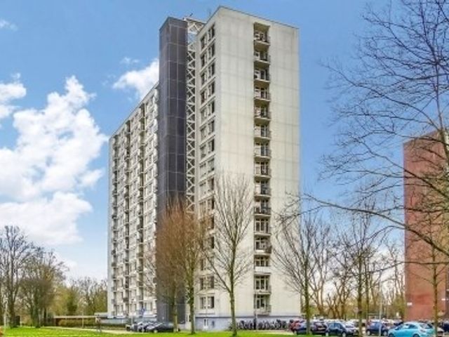 Van Leeuwenhoekstraat , Haarlem