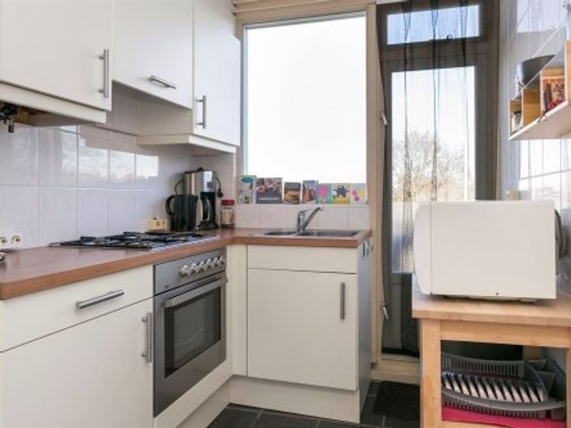 Ligusterstraat , Nijmegen