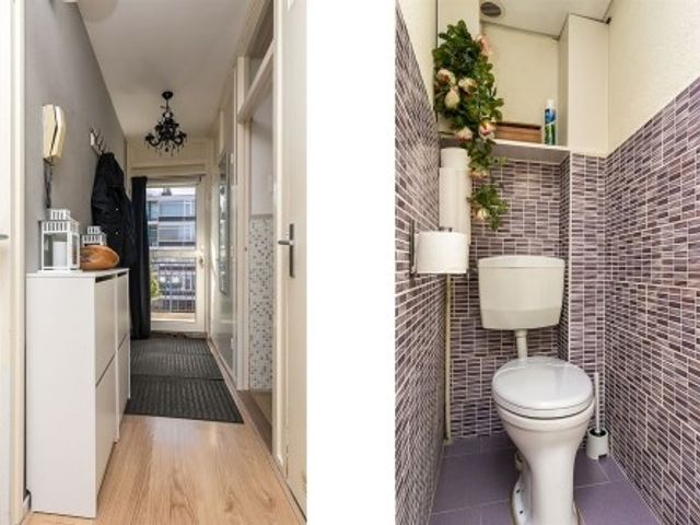 Platostraat , Rotterdam