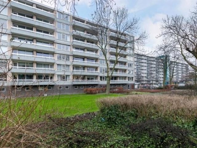 Everaertstraat , Rotterdam