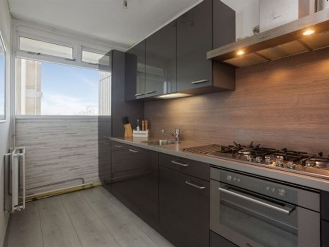 Oost Dorsch , Zaandam