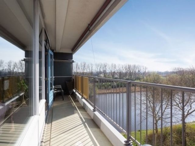 Oost Dorsch , Zaandam