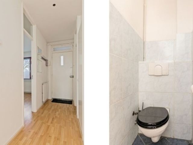 Dr. J. W. Paltelaan , Zoetermeer