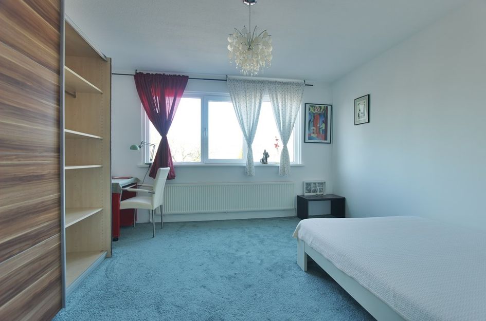 Dwergvinvisstraat 92