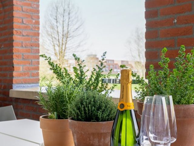 Zwaenenstede 39, 's-Hertogenbosch