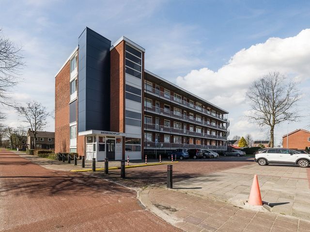 Biesboschlaan 16, Stadskanaal