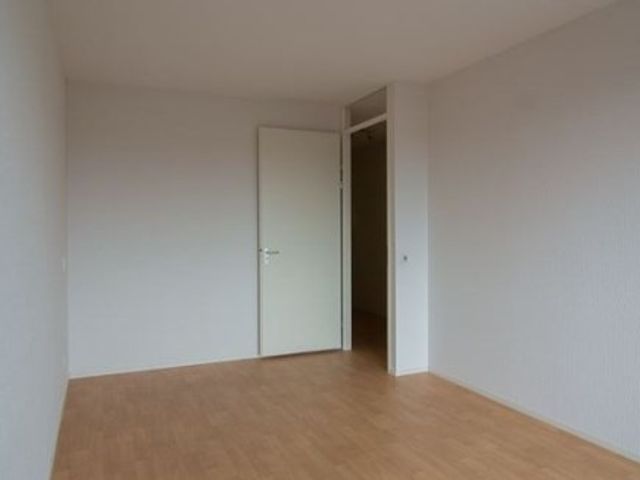 Rederijkershof ONG, Alkmaar