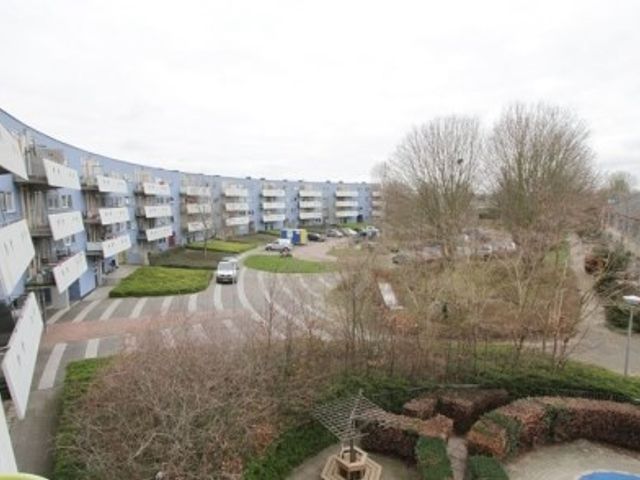 Peter Sellershof ONG, Almere