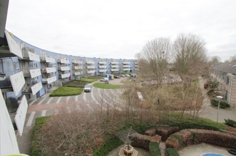 Peter Sellershof ONG