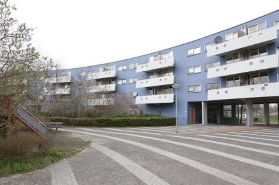 Peter Sellershof ONG