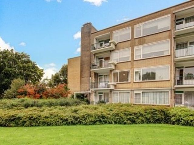 Pruimenlaan ONG, Amstelveen