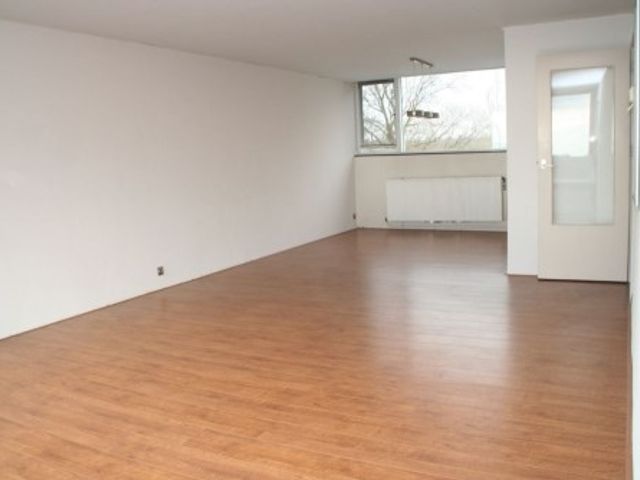 Grubbehoeve ONG, Amsterdam