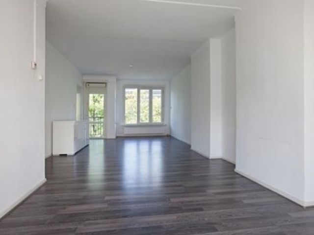 James Rosskade ONG, Amsterdam