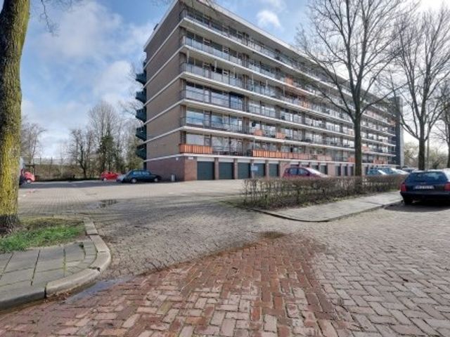 Matenalaan ONG, Arnhem