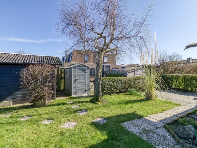 Lamsoor 3B, Nieuwvliet