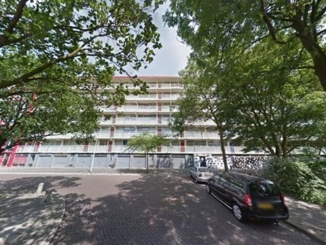 Jacques Urlusplantsoen ONG, Leiden