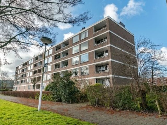 Paramaribostraat ONG, Leiden