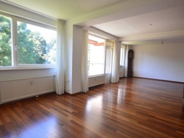 Via Regia ONG, Maastricht