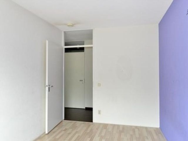 Lotustuin ONG, Rotterdam