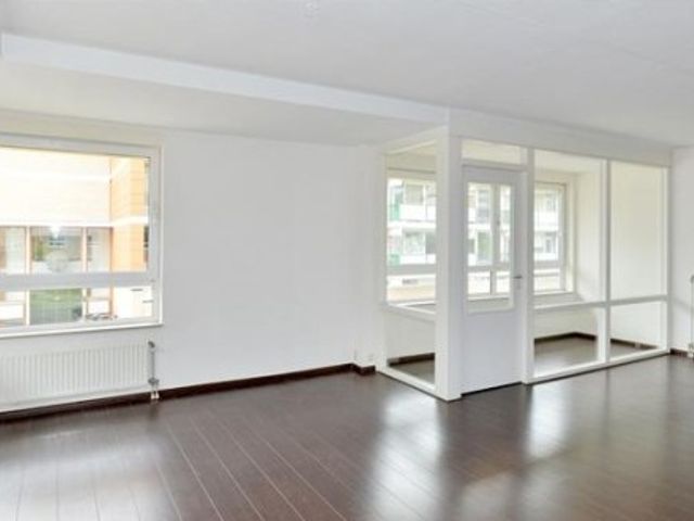 Lotustuin ONG, Rotterdam