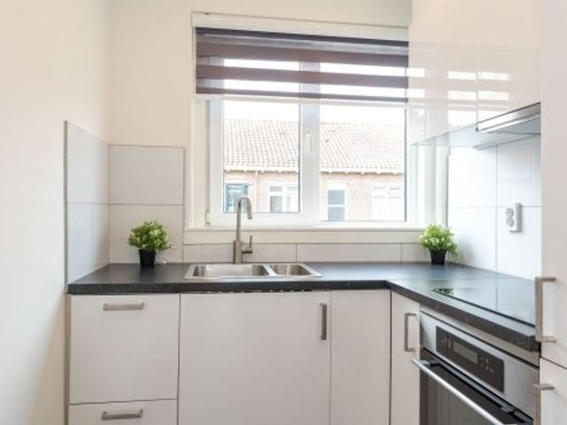 Madeliefstraat ONG, Rotterdam