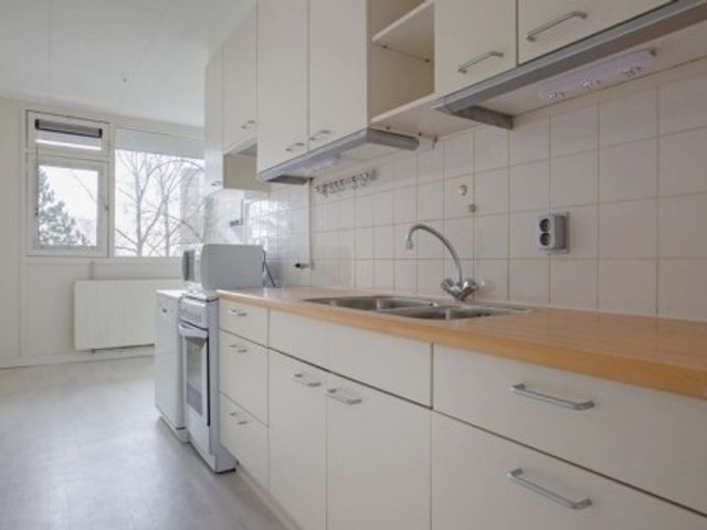 Spuikreek ONG, Rotterdam