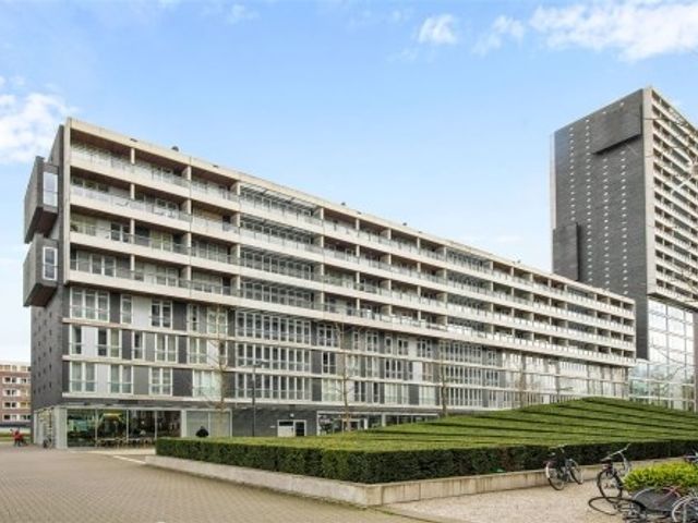 Professor de Moorplein ONG, Tilburg