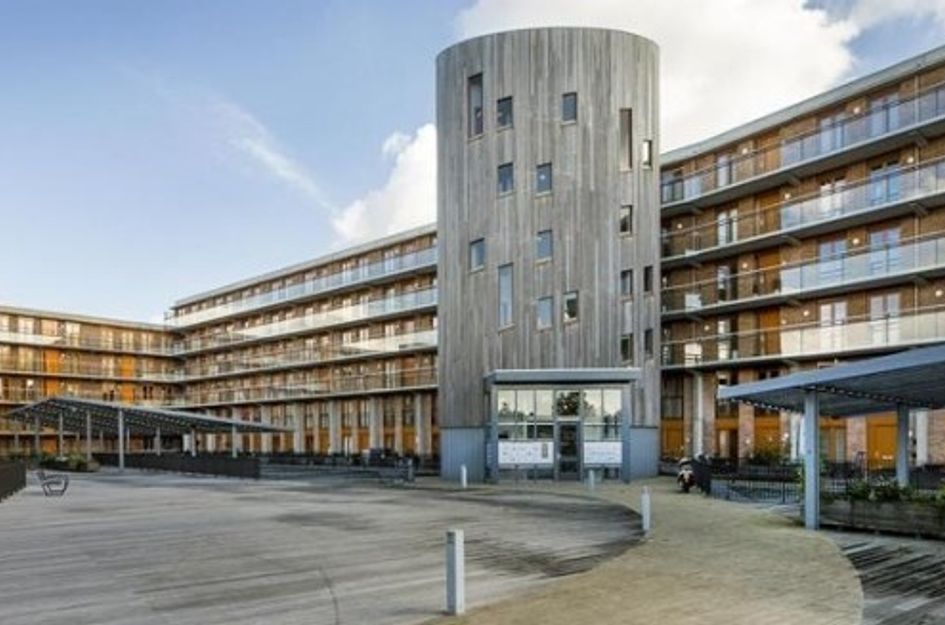 Prinses Ireneplateau ONG