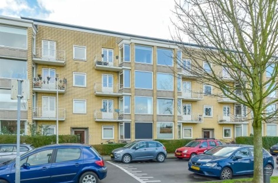 Victor Hugoplantsoen ONG