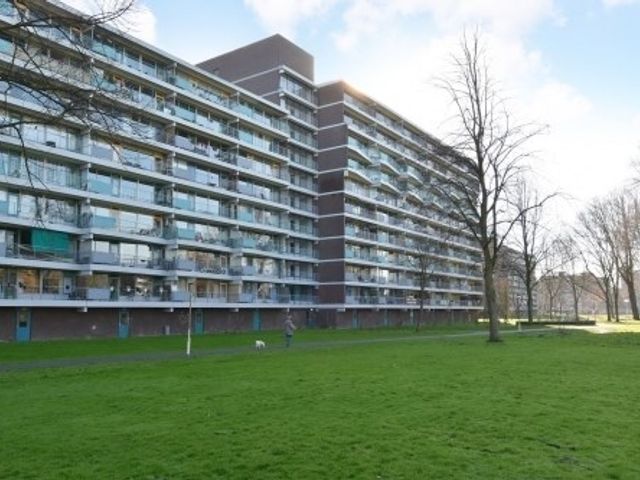 Belvédèrebos ONG, Zoetermeer