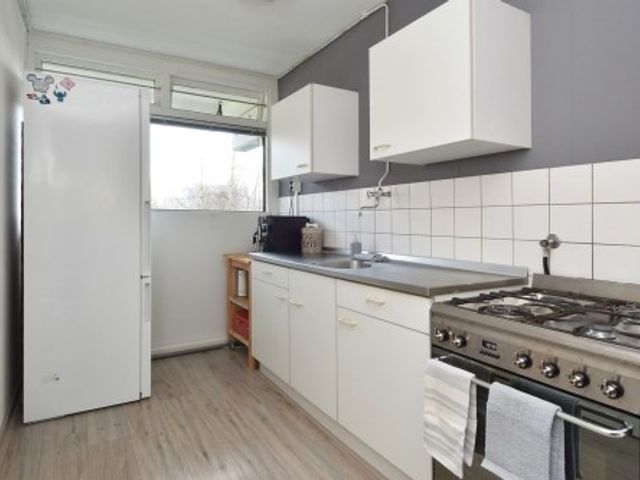 Belvédèrebos ONG, Zoetermeer