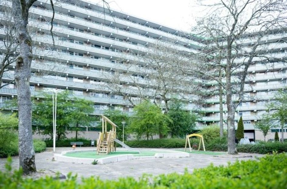 Stadhoudersring ONG